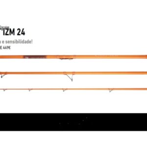 Cana DAIWA CAST'IZM  4.25 MT. 33 CE
