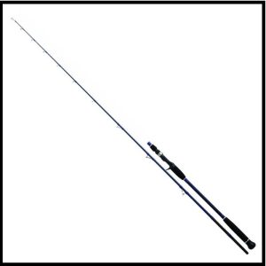 DAIWA EXCELER OCEANO JIG 1.98 MT.
