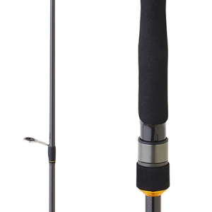 Cana DAIWA BG TENYA 242 AF