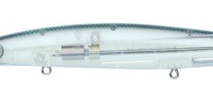Amostra DAIWA Shiner Z Vertice R 140 glassequille