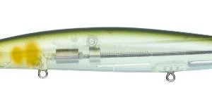 Amostra DAIWA Shiner Z Vertice R  140 Ghost Ayu