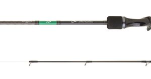 Cana DAIWA EMERALDAS EMEB702MSSBF