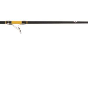 Cana CINNETIC CRAZY KAYAK Gold edition 2.10 MT.