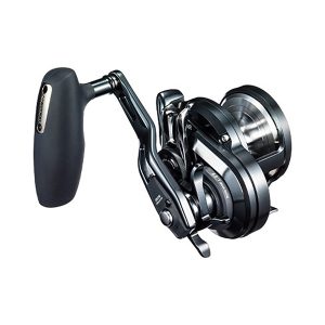 Carreto SHIMANO OCEA JIGGER F Custom 2001NR HG