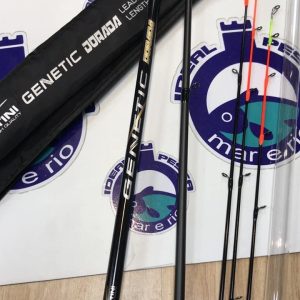 Cana TUBERTINI Genetic Dorada 2.95 MT.