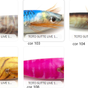 TONEIRA VEGA toto sutte LIVE S