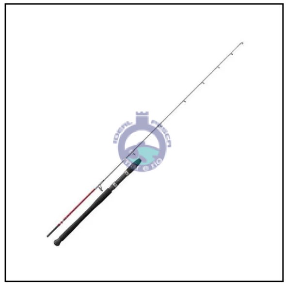 CANA CINNETIC CAPTURE INSHORE 1.90 MT.