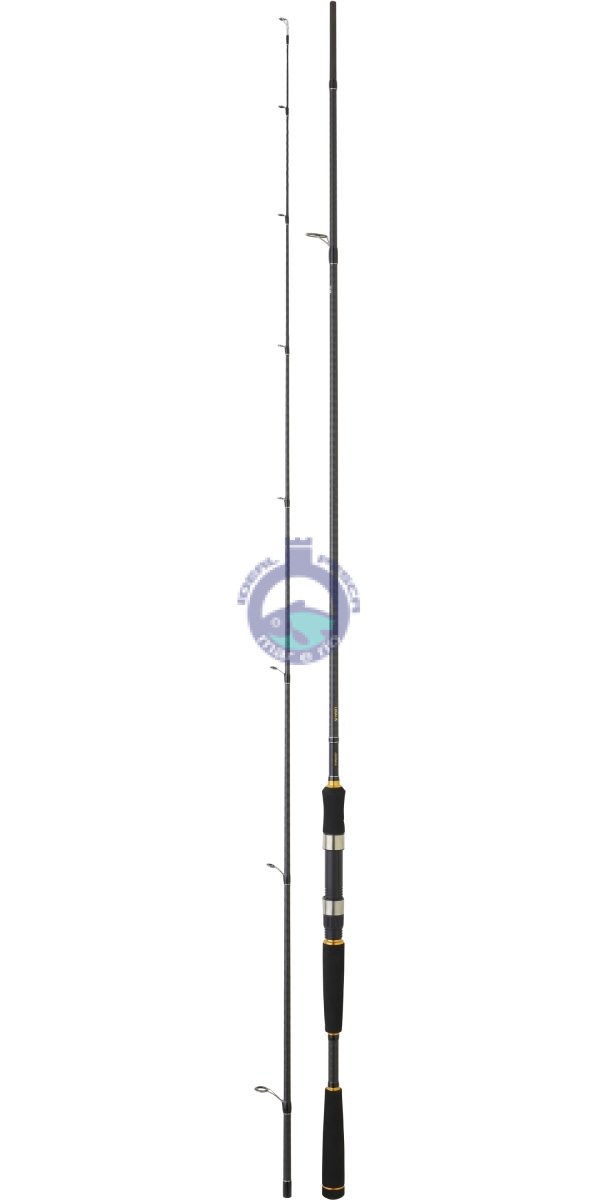 Cana DAIWA LEGALIS SEABASS 802HFSAF 2.40MTR