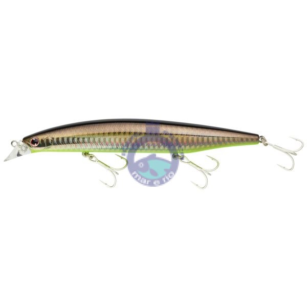 AMOSTRA DAIWA Shoreline Shiner Z Vertice 140S