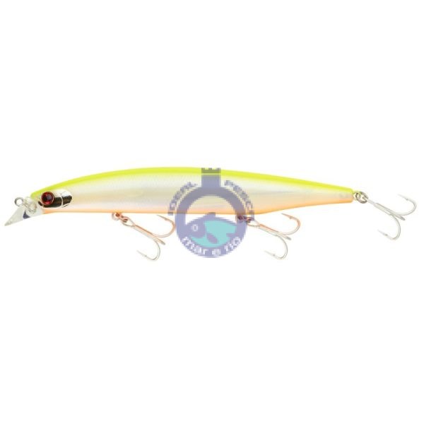 DAIWA Shoreline Shiner Z Vertice 140F