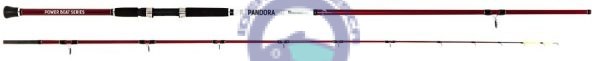 CANA VEGA PANDORA 3MTR