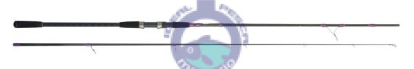 Cana CINNETIC EXPLORER SHORE JIG EVO EXTREME 2.75mtr