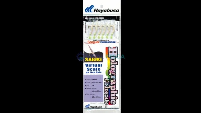 MONTAGEM PARA CARAPAU HAYABUSA EX110