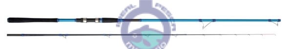 Cana CINNETIC BLUE WIN 3.00mtr. SEABASS