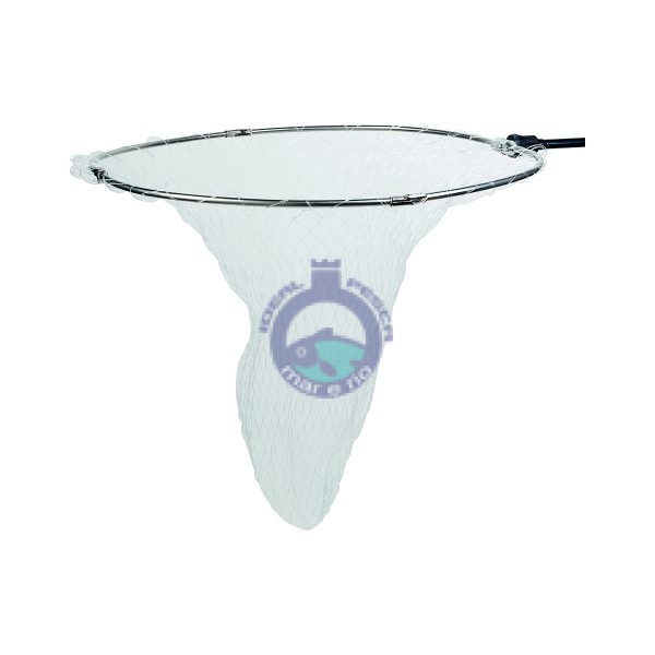Cabeça de camaroeiro ISO DAIWA