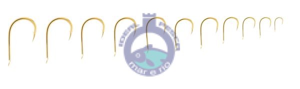 ANZOL ASARI CHINU LASER CARBON GOLD
