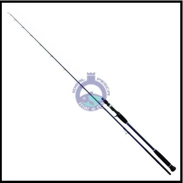 DAIWA EXCELER OCEANO JIG 1.98 MT.