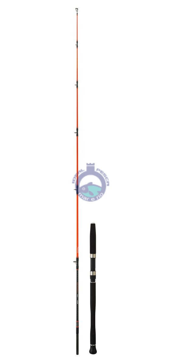 Cana DAIWA MEGAFORCE JIG