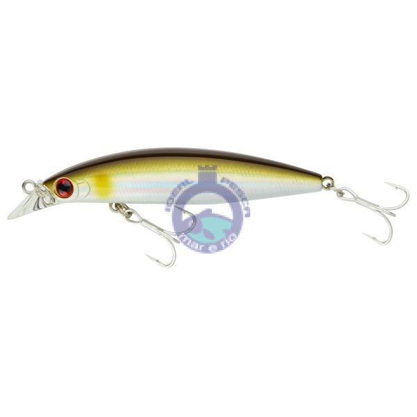 AMOSTRA DAIWA Shoreline Shiner Z Vertice 80S