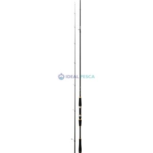 CANA DAIWA LEGALIS SEABASS 2020 shore jigging