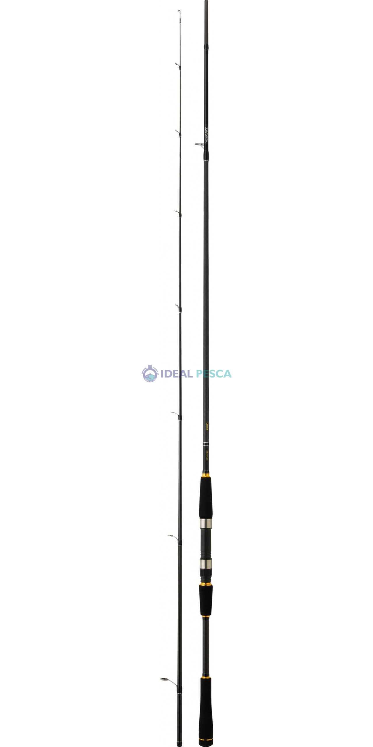 CANA DAIWA LEGALIS SEABASS 2020 shore jigging
