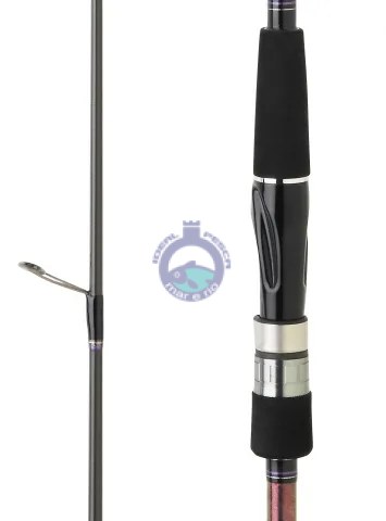 CANA DAIWA SALTIST 802 MH TENYA