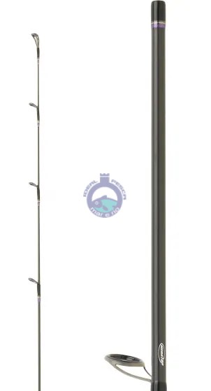 CANA DAIWA SALTIST 802 MH TENYA