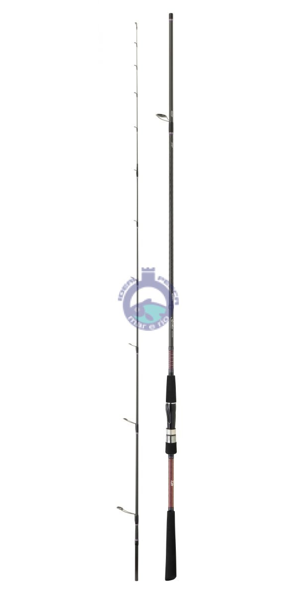 CANA DAIWA SALTIST 802 MH TENYA