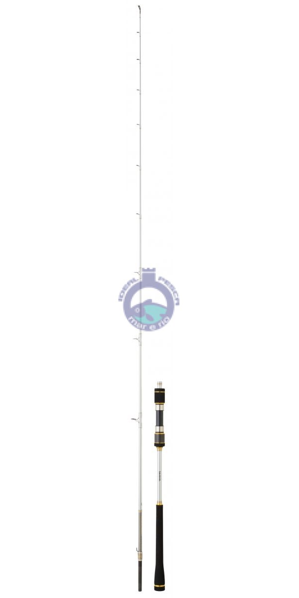 Cana DAIWA MEGAFORCE BJ180MS Bayjigging