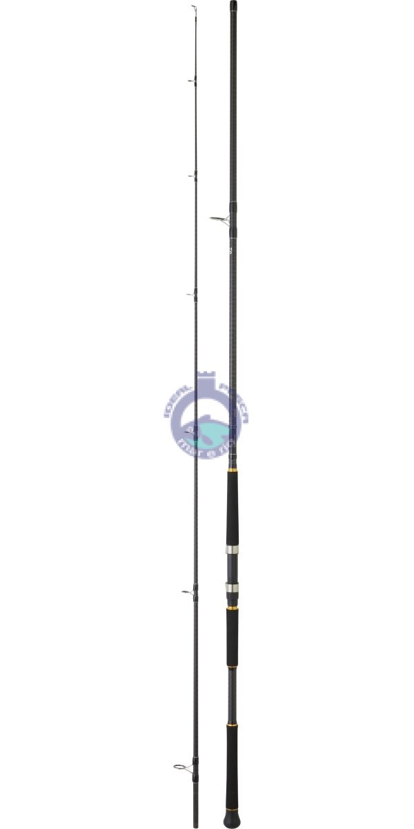 Cana DAIWA LEGALIS 3.20MTR SHOREJ LEGSB1062XXHFS