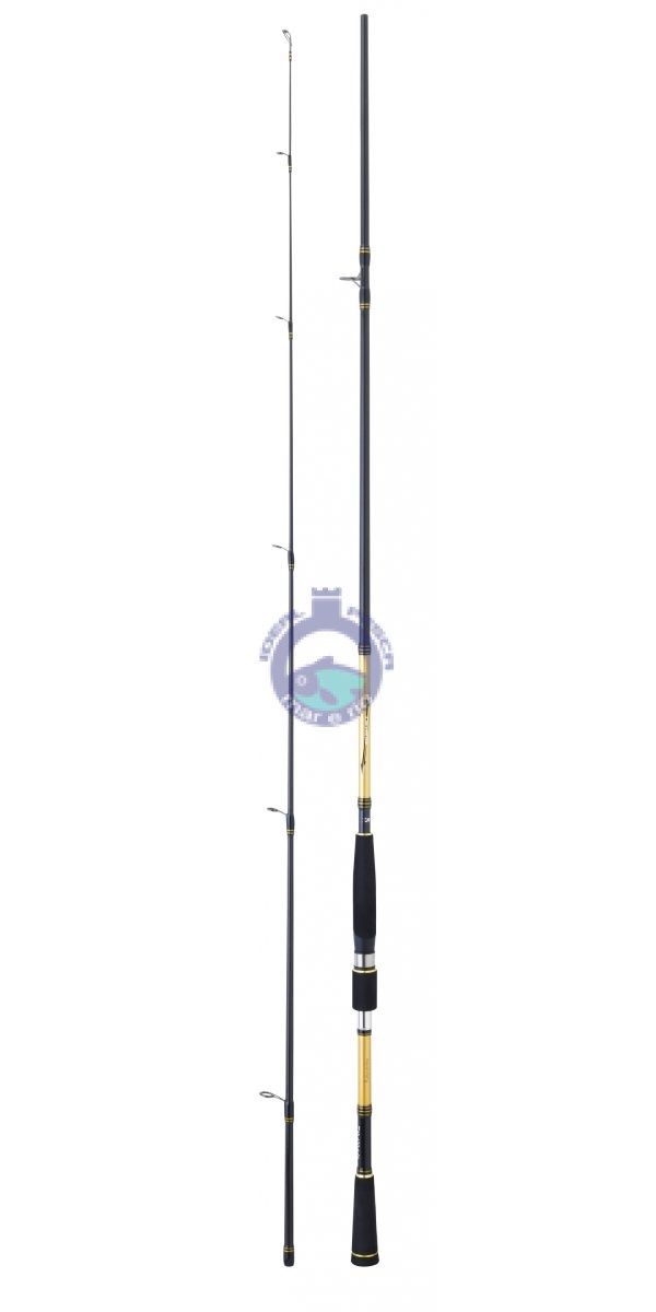 Cana DAIWA sensor SQUID 2.40mts.