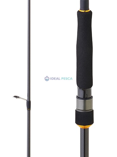 Cana DAIWA BG TENYA 242 AF