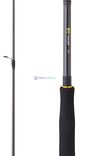 Cana DAIWA BG TENYA 242 AF