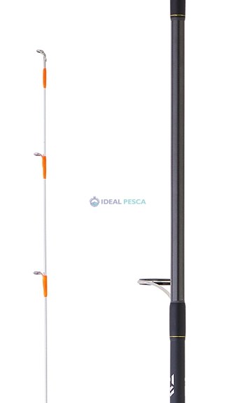 Cana DAIWA BG TENYA 242 AF