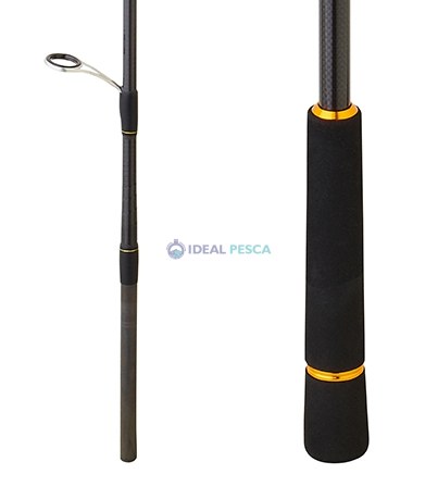 Cana DAIWA BG TENYA 242 AF
