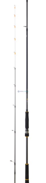 Cana DAIWA BG TENYA 242 AF