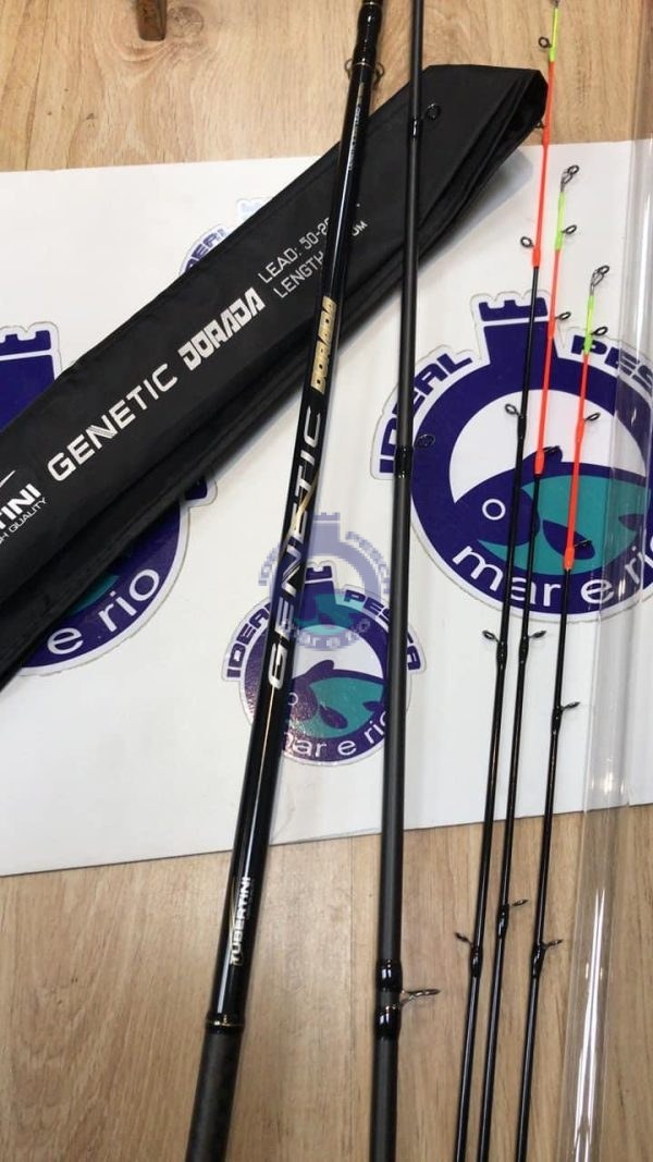 Cana TUBERTINI Genetic Dorada 2.95 MT.