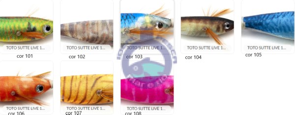 TONEIRA VEGA toto sutte LIVE S