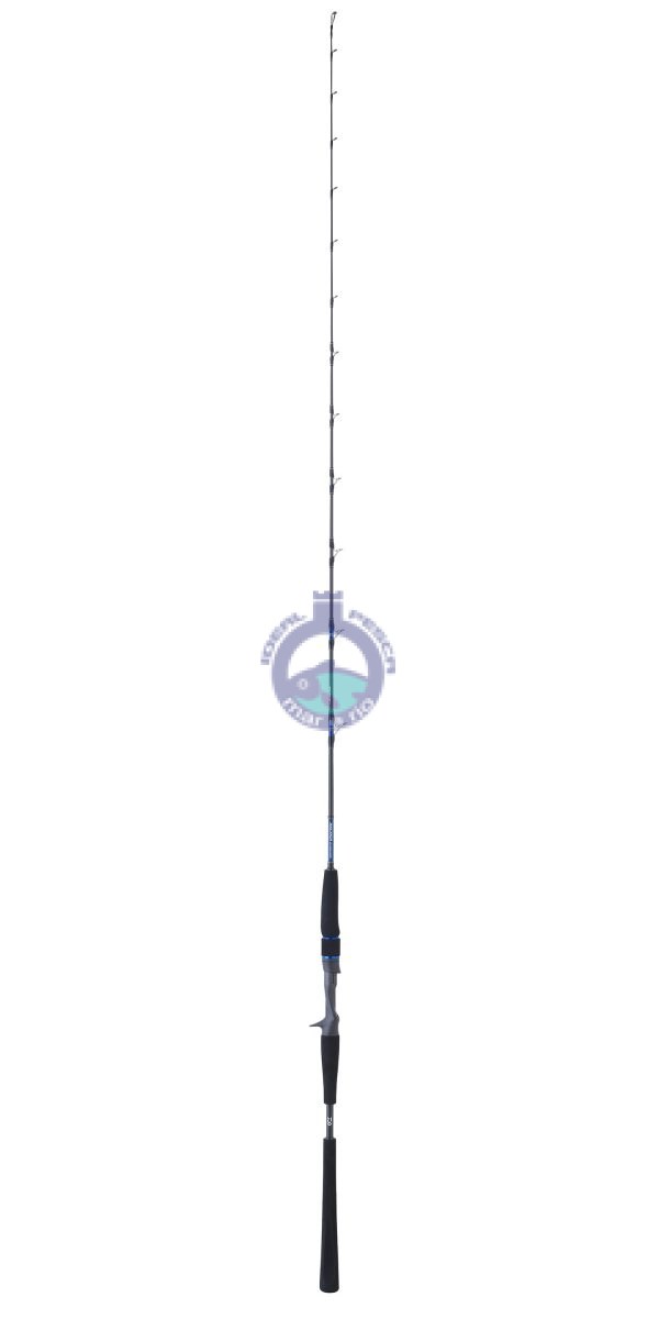 Cana DAIWA SALTIGA BAY JIGGING 64XXHB
