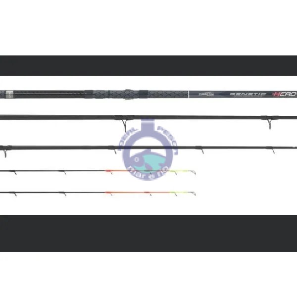 Cana TUBERTINI Genetic hero 2.80mt