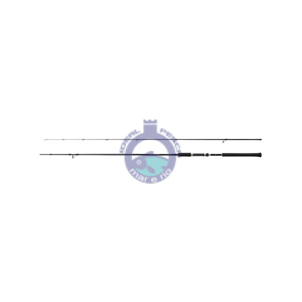 Cana SHIMANO SALTY ADVANCE S96M