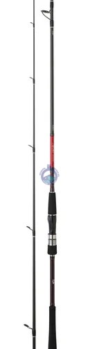 CANA DAIWA SALTIST Seabass 702 MHFS-af