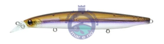 DAIWA Shoreline Shiner Z Vertice R