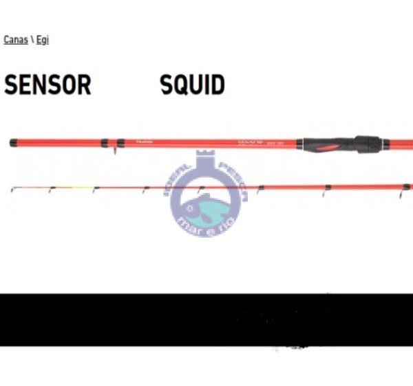 Cana DAIWA sensor boat SQUID 2.10mts.