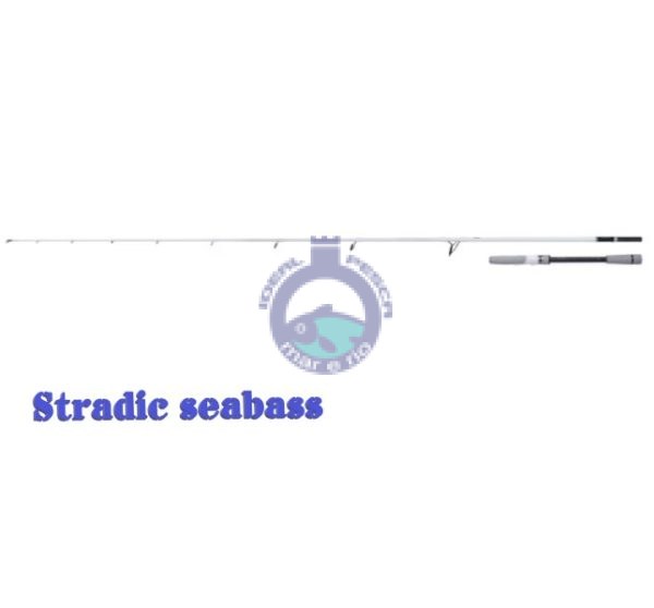 Cana Stradic Spinning Seabass 2,41m 7’11 10-35g Fast 1+1pc