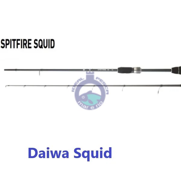 Cana DAIWA SPITFIRE SQUID 702 M